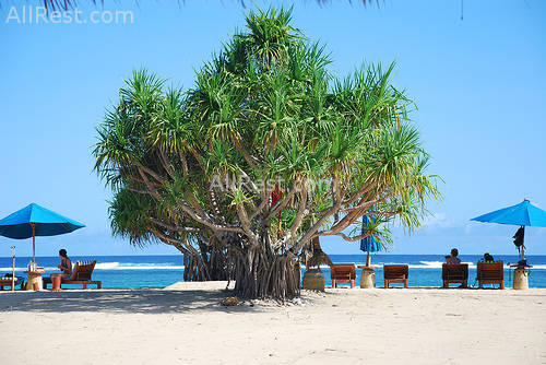 Novotel Lombok 37